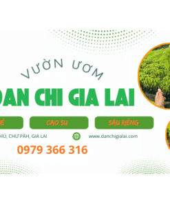 Vườn Ươm Đan Chi Gia Lai - Banner