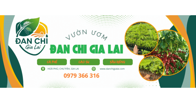 Vườn Ươm Đan Chi Gia Lai - Banner